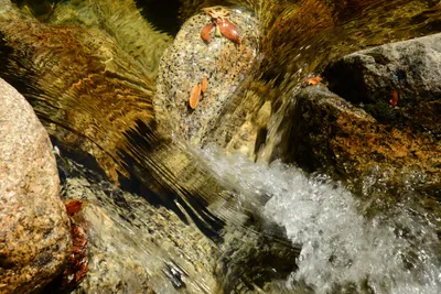 DSC_2278 (Large).JPG